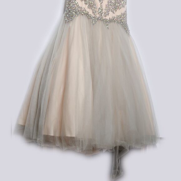 Terani Couture Dress Size 2 Silver Nude Long Trumpet Rhinestones Prom Homecoming - Picture 13 of 14